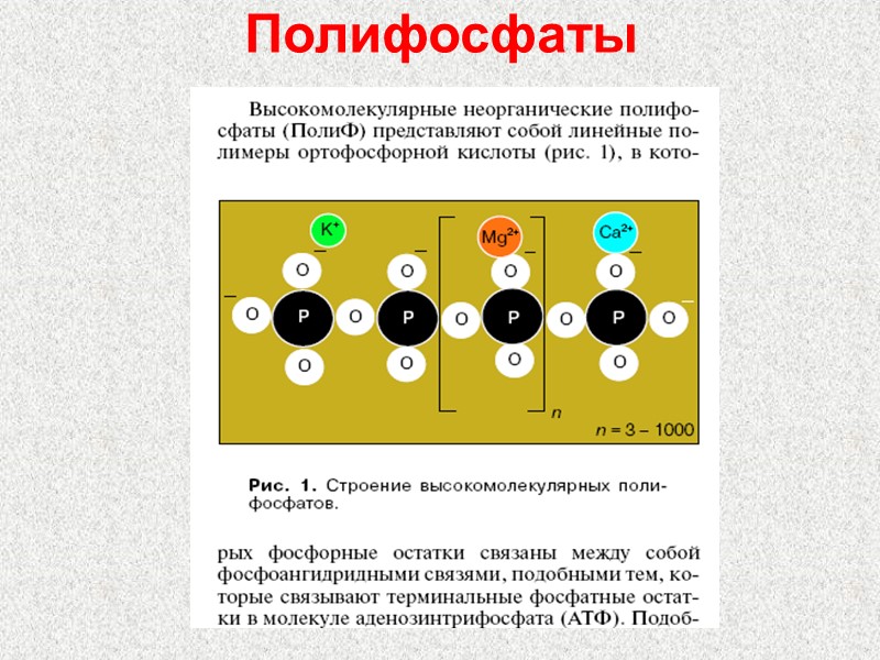 Полифосфаты